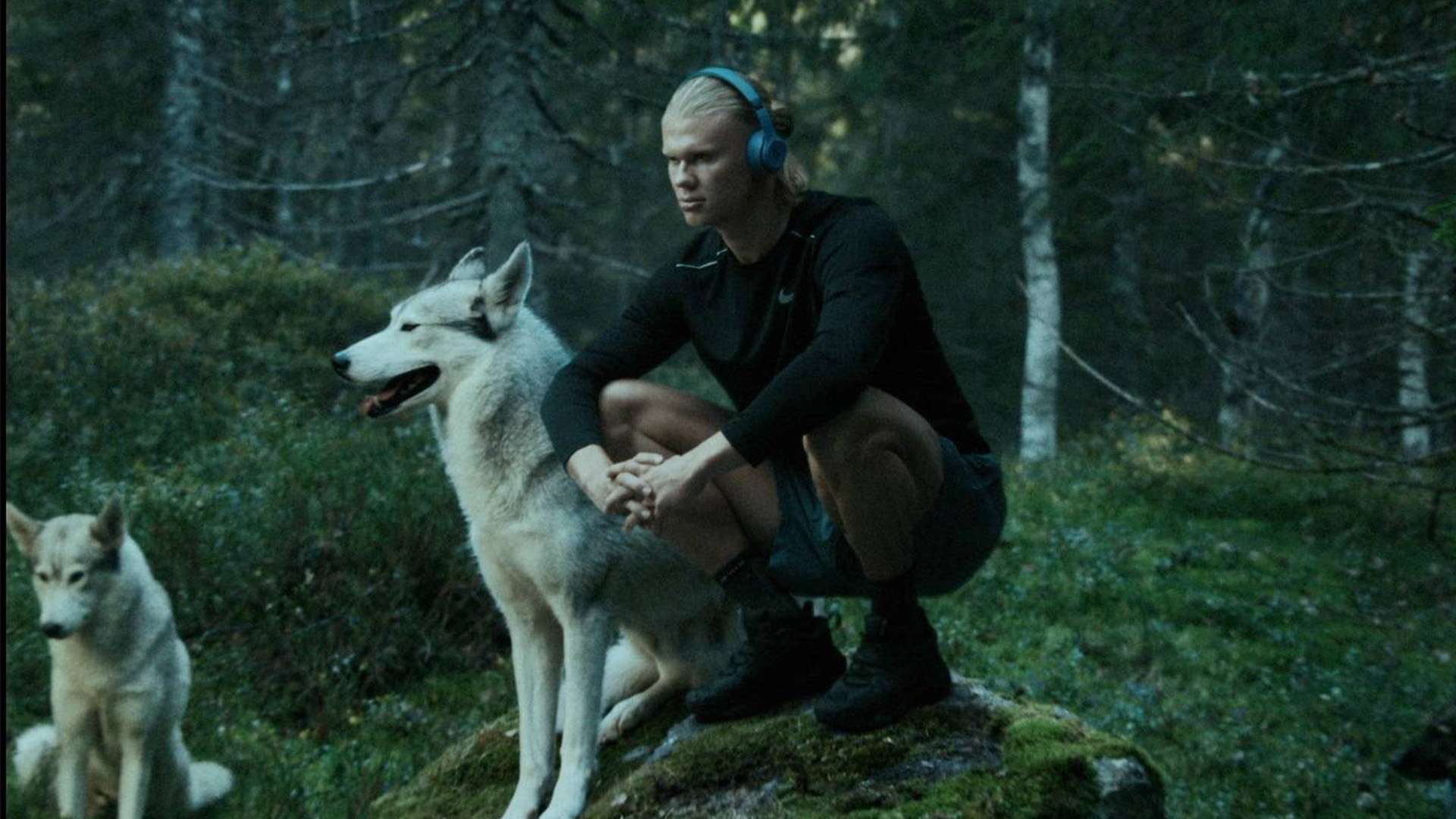 励机制的完 励机制的完